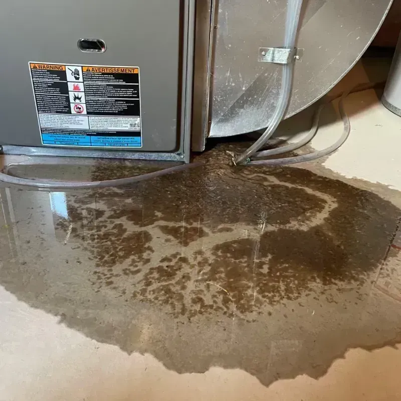 Appliance Leak Cleanup in Nortonville, KY